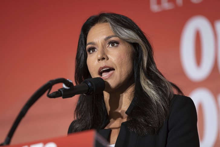 Gabbard Claims TSA Watchlist Is Political Retaliation - Gabbard says her TSA surveillance was political retribution after criticizing Kamala Harris on national TV.