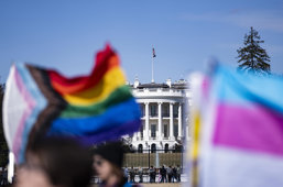 Judge: Trump NIH Grant Cuts Discriminatory, White House Defends