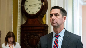 Cotton-Gesetz soll US-Mineralienabbau für Verteidigung beschleunigen